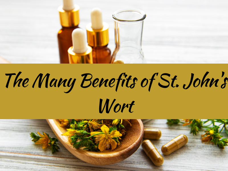 The Many Benefits of St. John's Wort