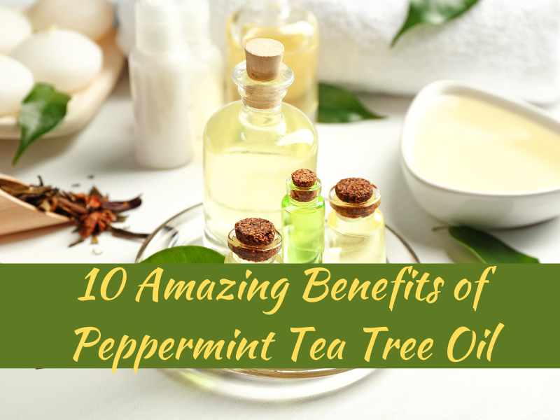 10 Amazing Benefits of Peppermint Tea Tree Oil – Health Wellness 360